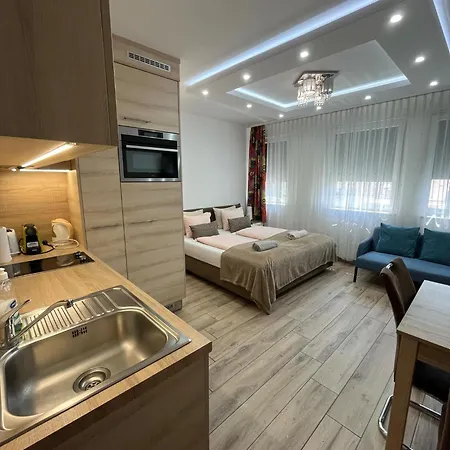 公寓 Gellerico Tolnai Street 布达佩斯